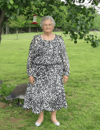 Wanda Lee (Bittle) Harlan Obituary