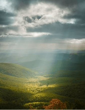 Billie George McCallie Obituary