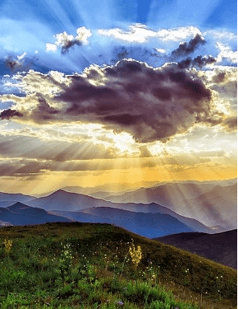 William Curtis Johnson Obituary