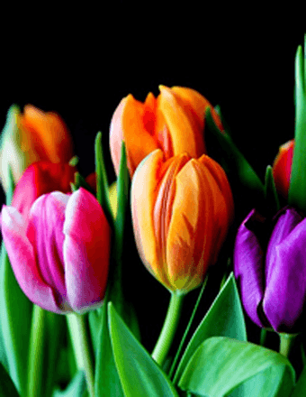 Delmyra (Durham) Meeks Obituary